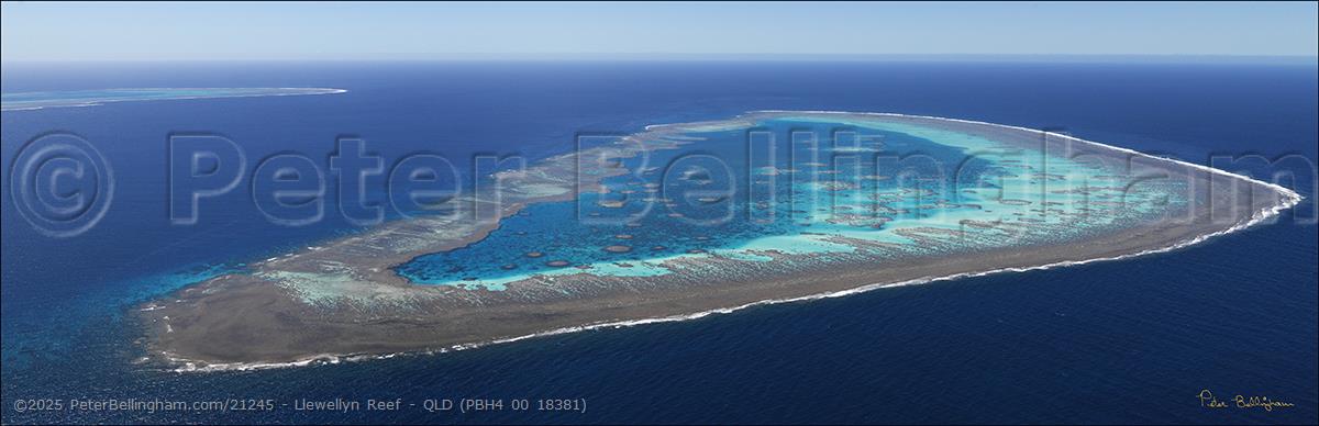 Peter Bellingham Photography Llewellyn Reef - QLD (PBH4 00 18381)